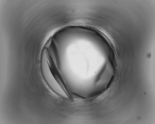 X0000090721477200708171916