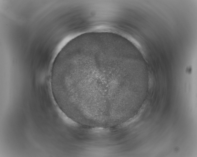 X0000090721478200708171916