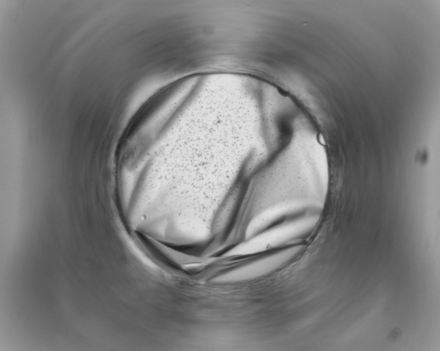 X0000090721479200708171916