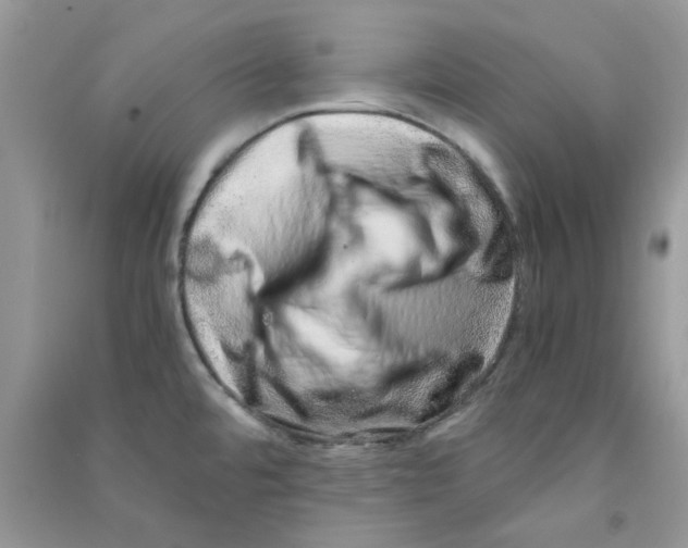 X0000090721480200708171916