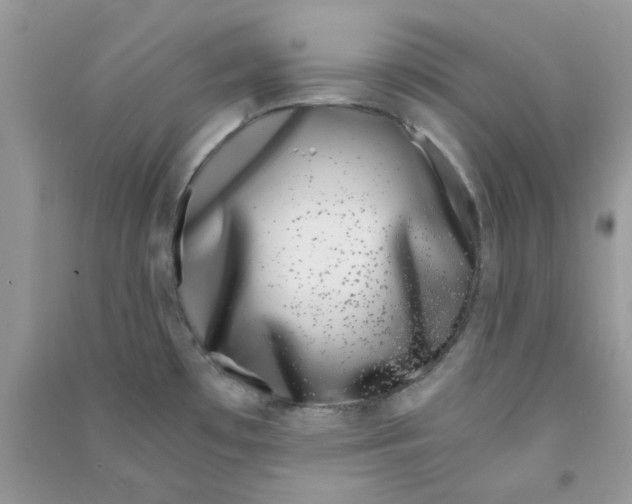 X0000090721481200708171916