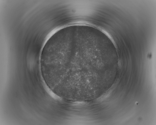 X0000090721482200708171916