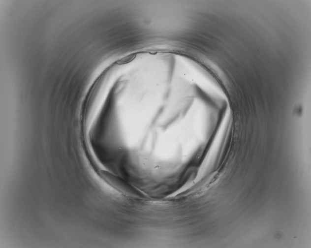 X0000090721483200708171916