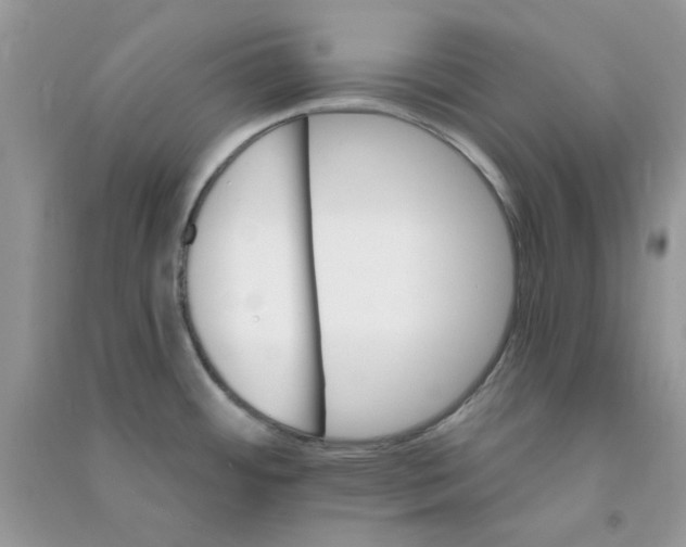 X0000090721484200708171916