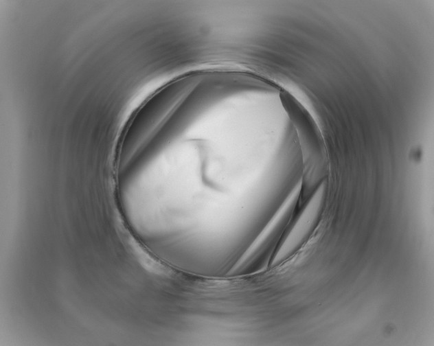 X0000090721485200708171916