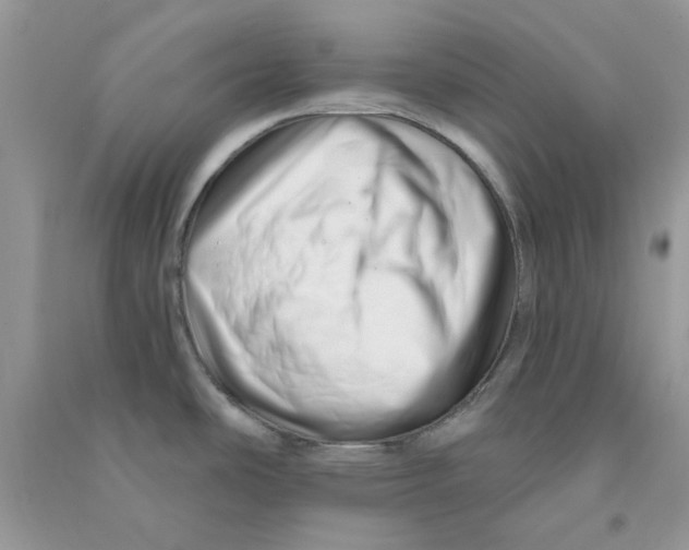 X0000090721486200708171916