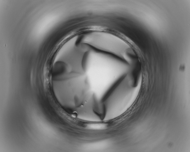 X0000090721487200708171916