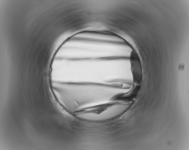 X0000090721488200708171916