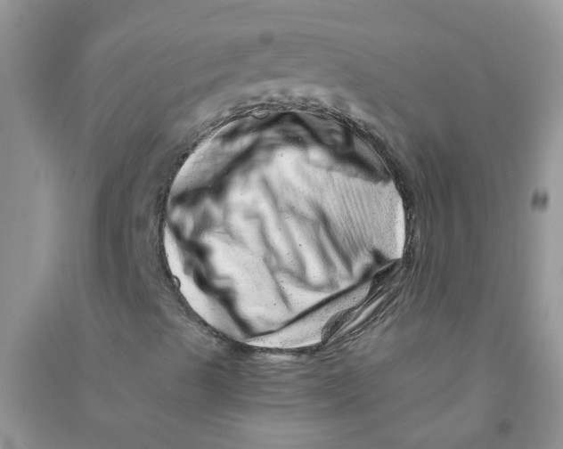 X0000090721489200708171915