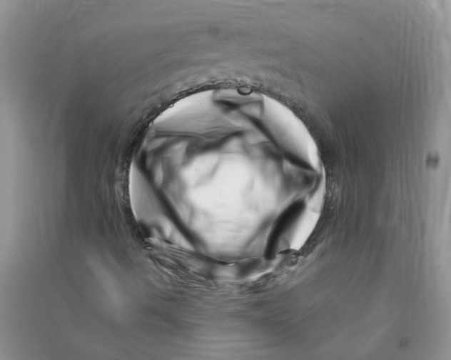 X0000090721490200708171915