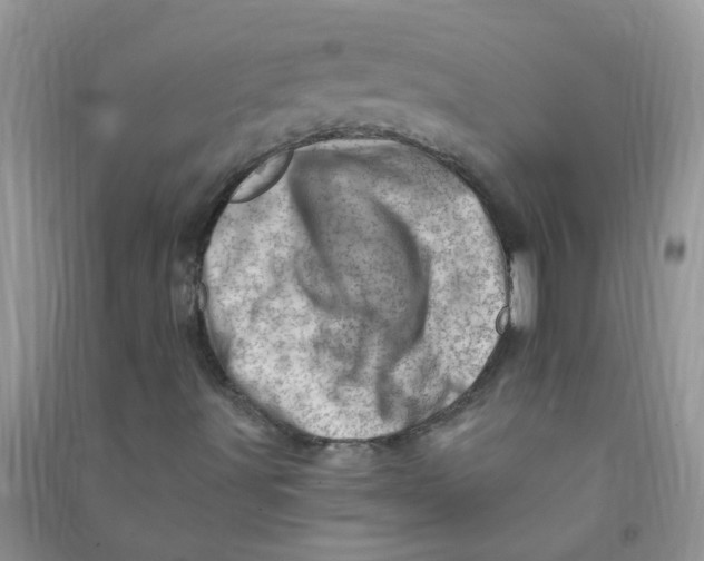 X0000090721491200708171915