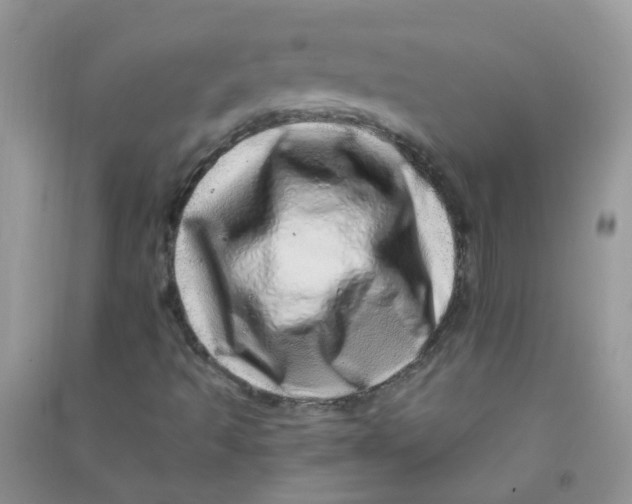 X0000090721493200708171915