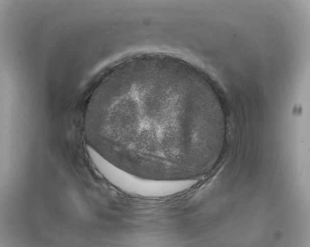 X0000090721494200708171915