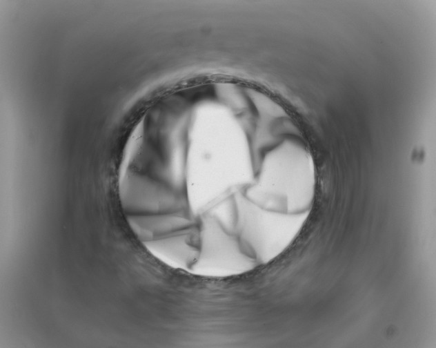 X0000090721495200708171915