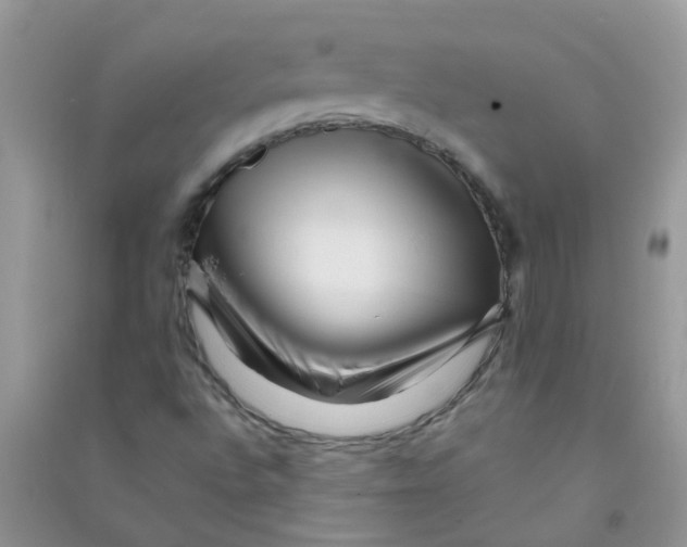 X0000090721496200708171915