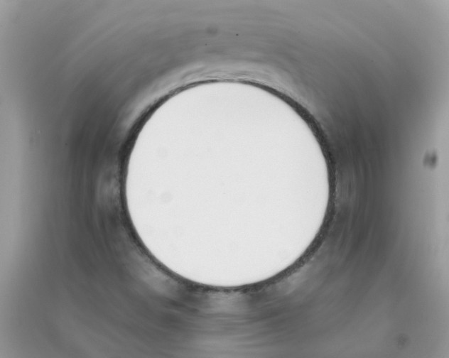 X0000090721498200708171915