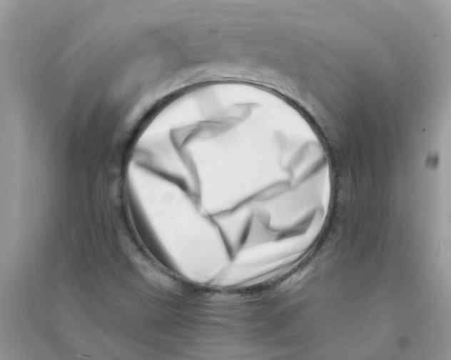 X0000090721499200708171916