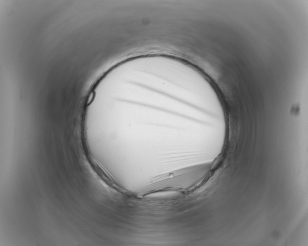 X0000090721500200708171916