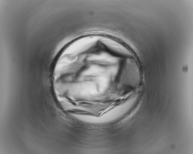 X0000090721501200708171916