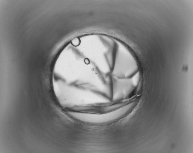 X0000090721502200708171916