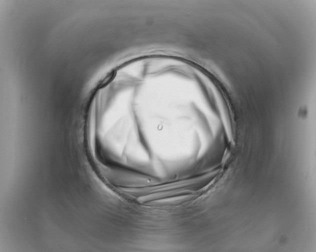 X0000090721504200708171916