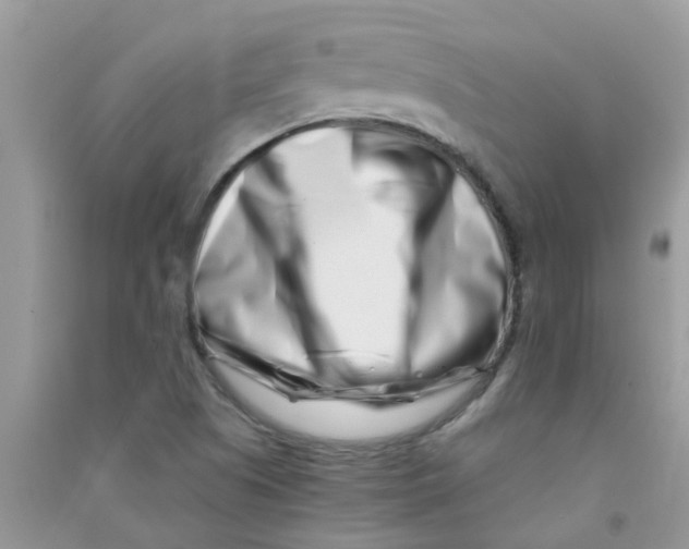 X0000090721505200708171916