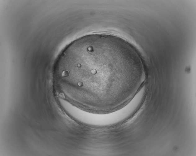 X0000090721506200708171916