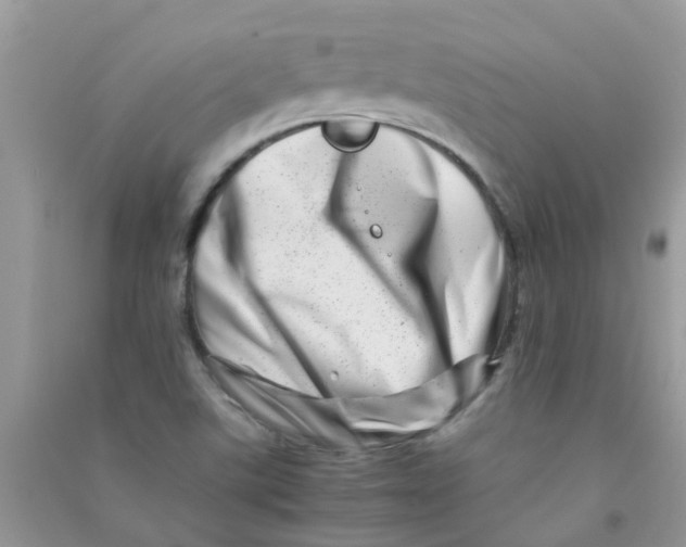 X0000090721507200708171916