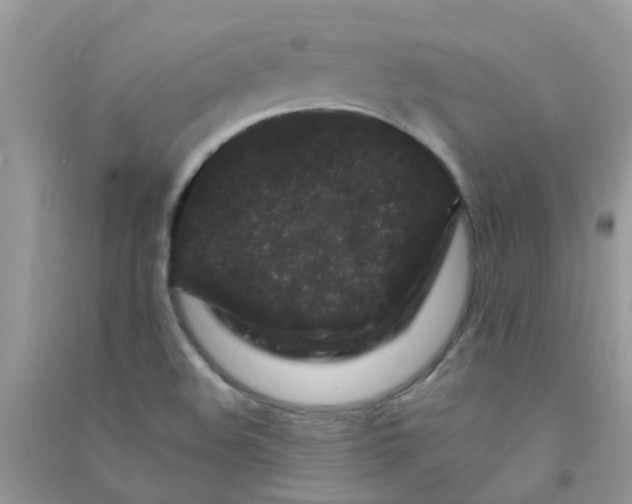 X0000090721508200708171916