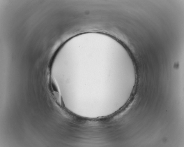 X0000090721509200708171916