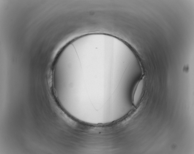 X0000090721510200708171916