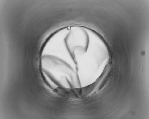 X0000090721511200708171916