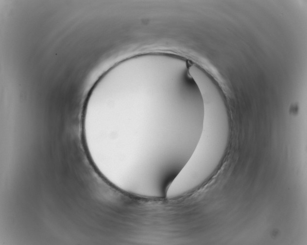 X0000090721512200708171916