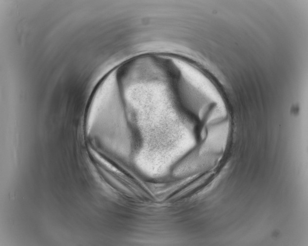 X0000090721513200708171916