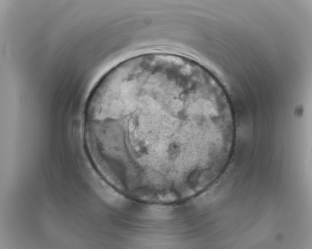 X0000090721514200708171916