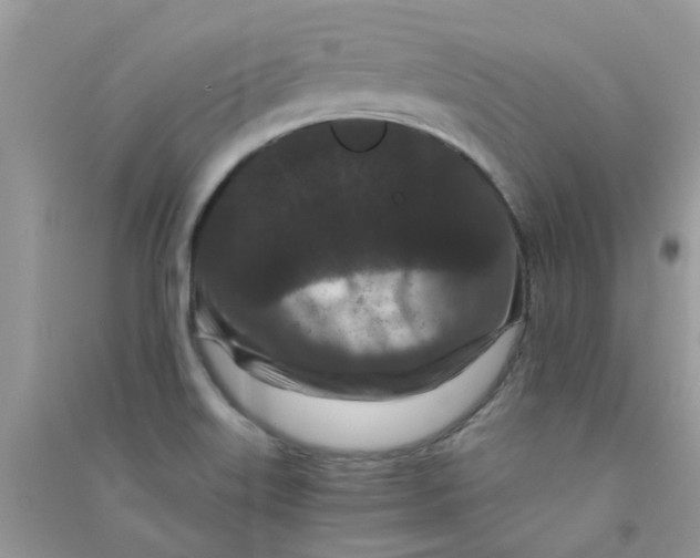 X0000090721515200708171916