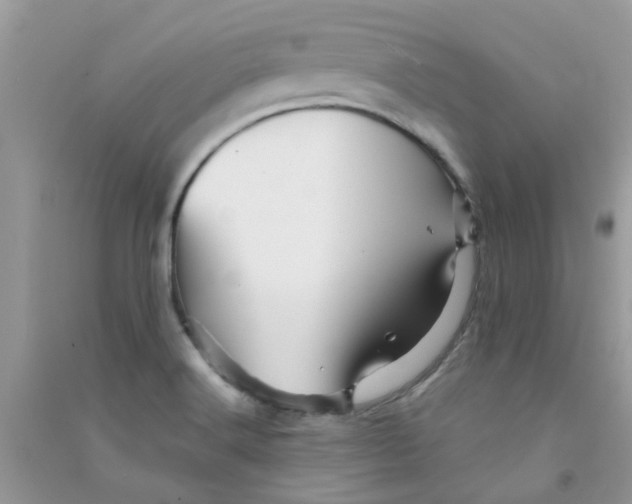 X0000090721516200708171916