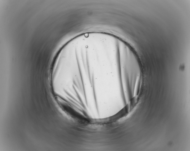 X0000090721517200708171916