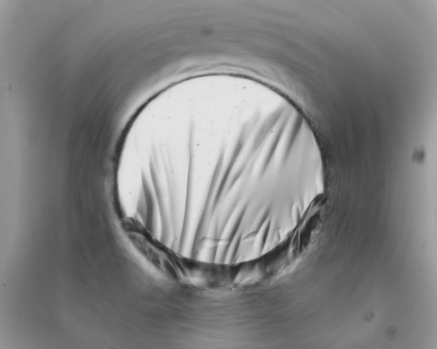 X0000090721518200708171916