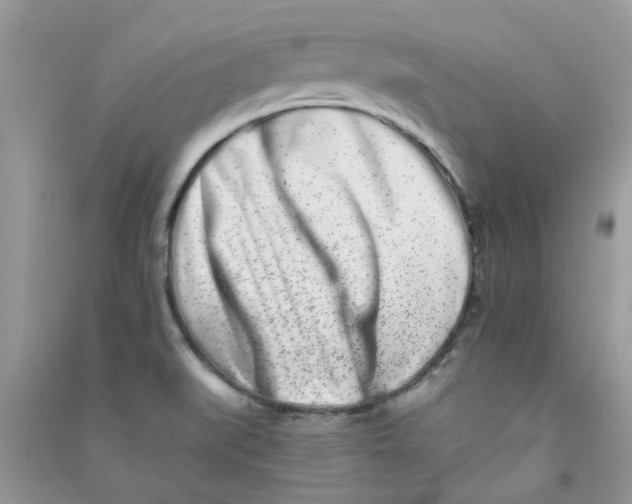 X0000090721519200708171916