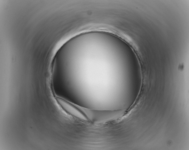 X0000090721520200708171916