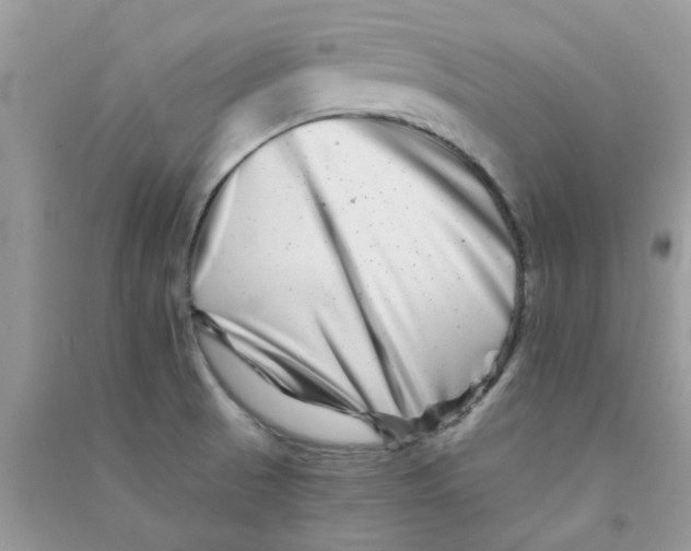 X0000090721521200708171916