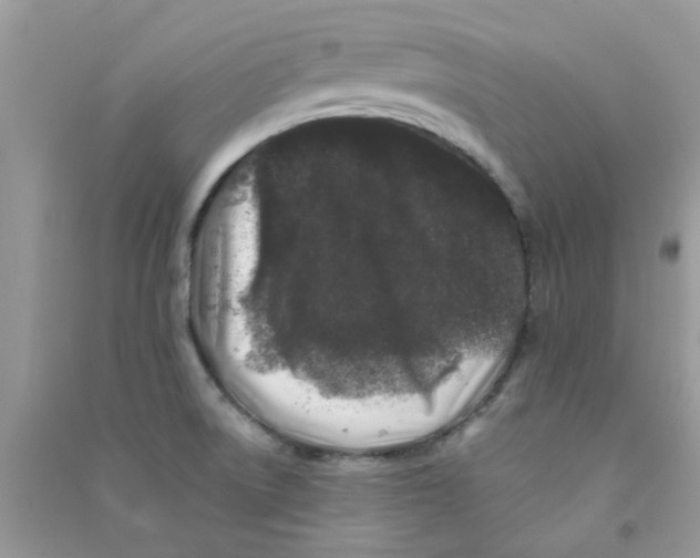 X0000090721522200708171916