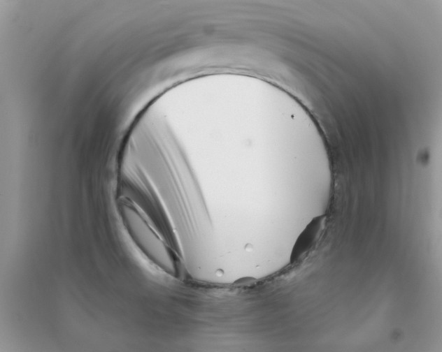 X0000090721523200708171916