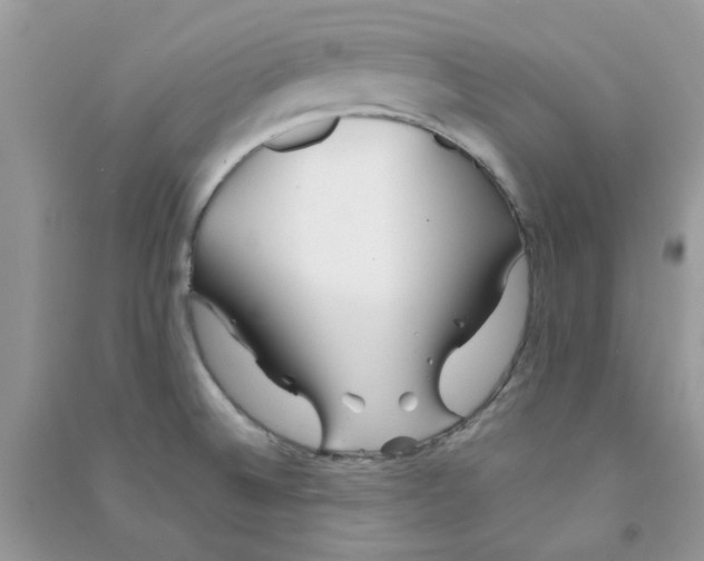 X0000090721524200708171916