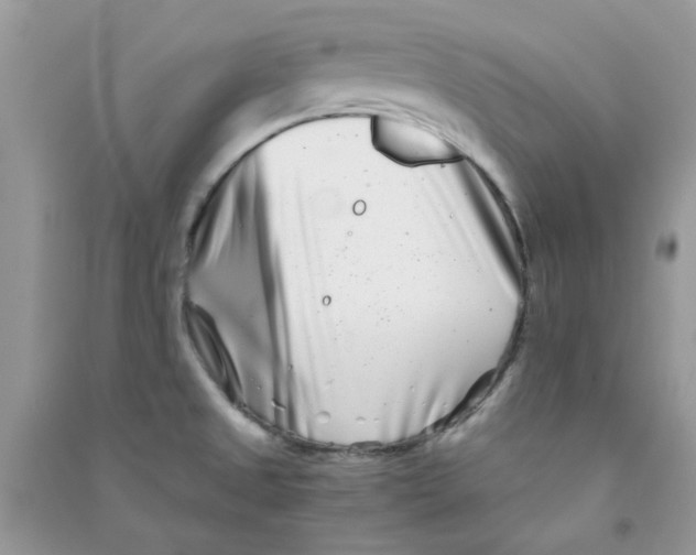 X0000090721525200708171916