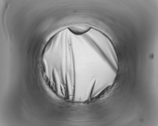 X0000090721526200708171916