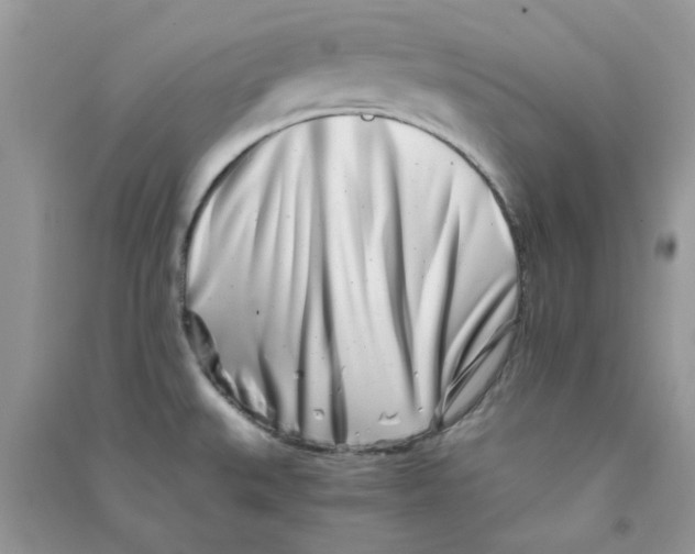 X0000090721527200708171916