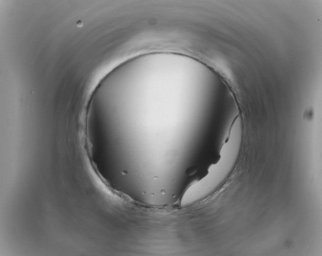 X0000090721528200708171916