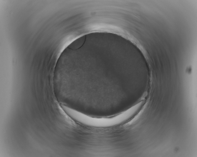 X0000090721529200708171916